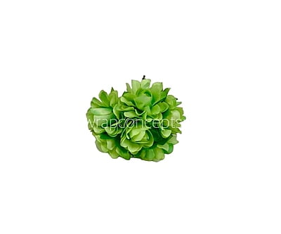 Lime Aubrieta Flower