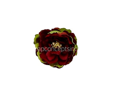 Red Peony Buds Red Peony Buds