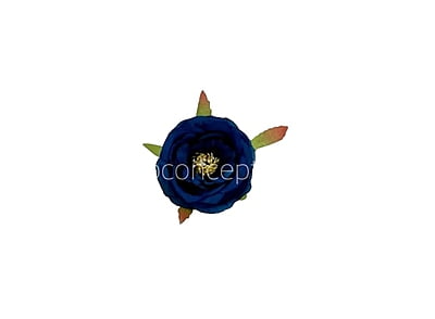 Navy Blue Camellia Flower