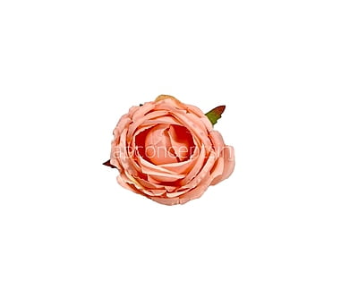 Left over Big Peony -Blush