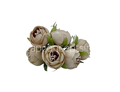 Peonies on stick - Sand