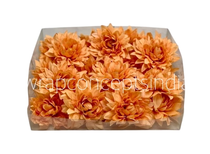 Pumpkin Dahlia Flower