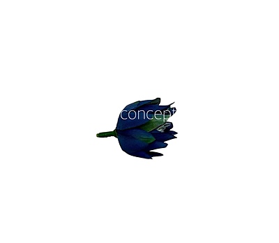 Bell Flower - Cobalt Blue Bell Flower - Cobalt Blue