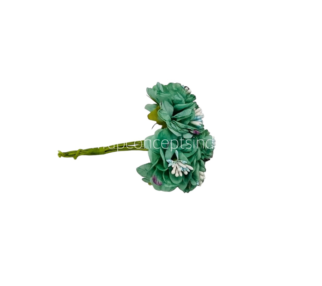 Jungle Green Windflower