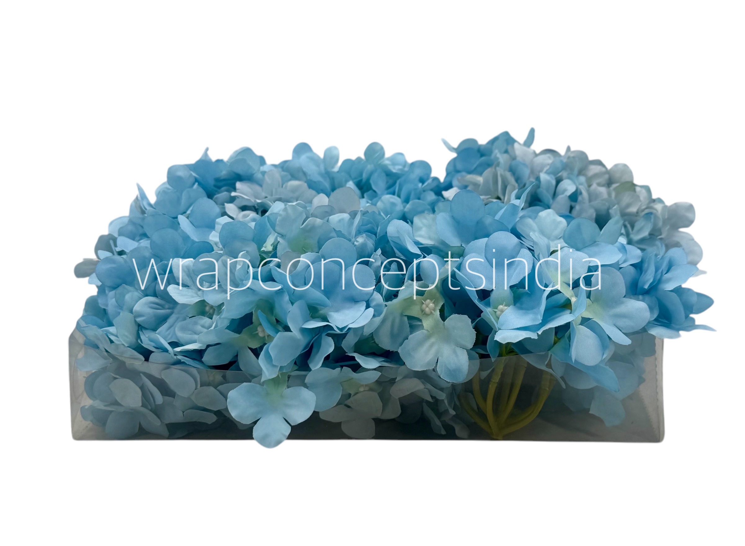 Sky Hydrangeas