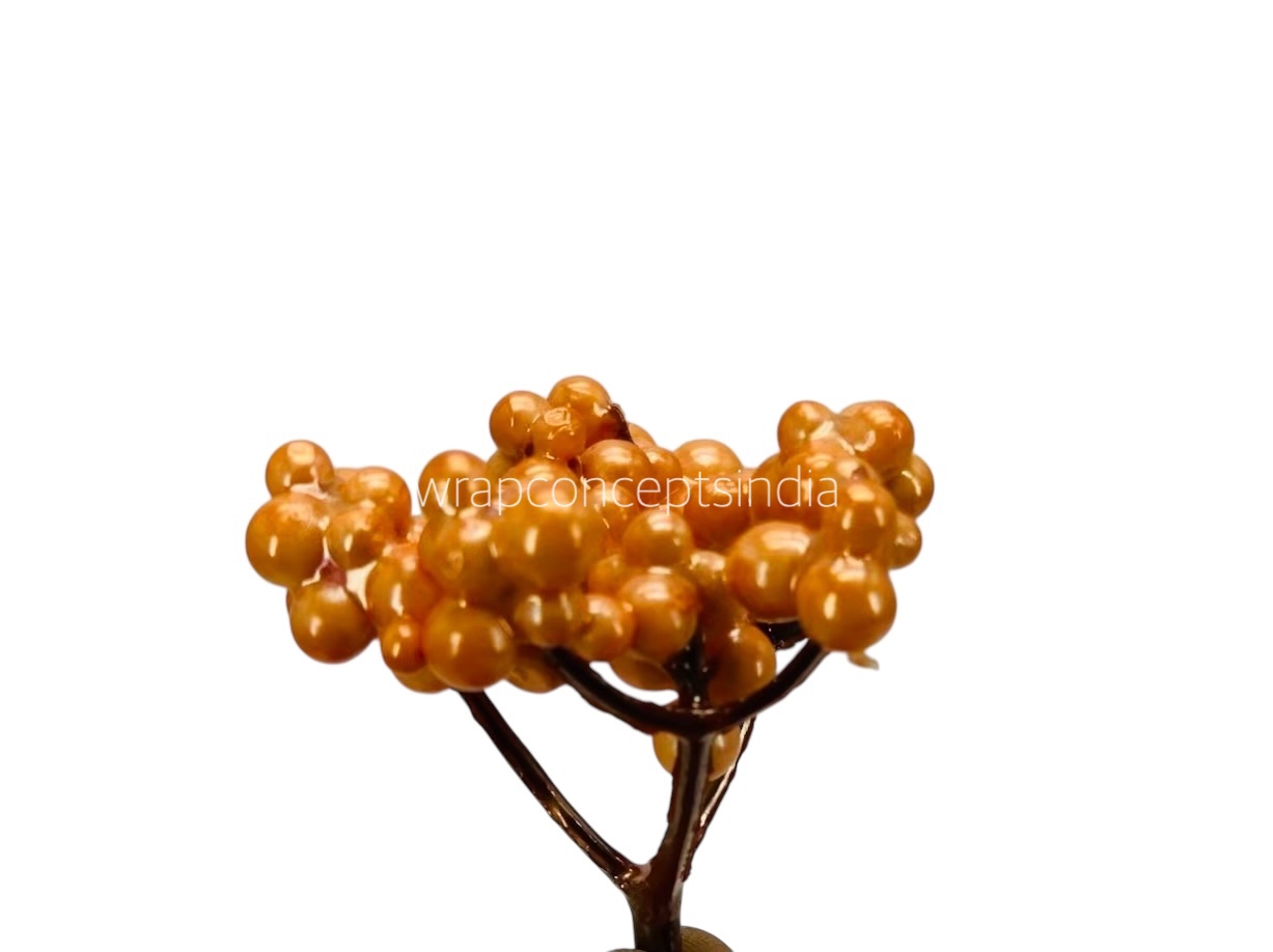 Orange Small Fern Orange Small Fern