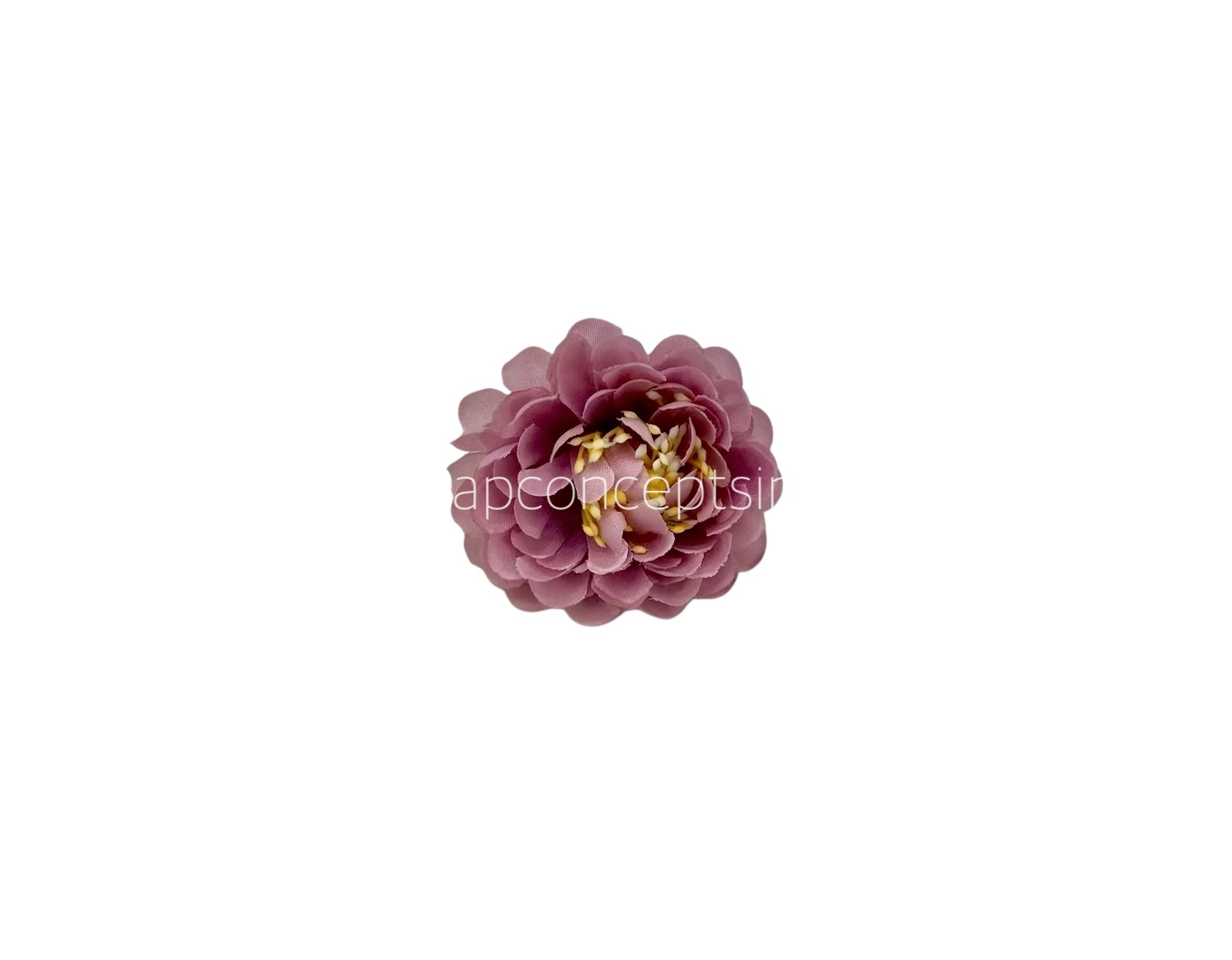 Dusky Mauve Small Dahlias Dusky Mauve Small Dahlias