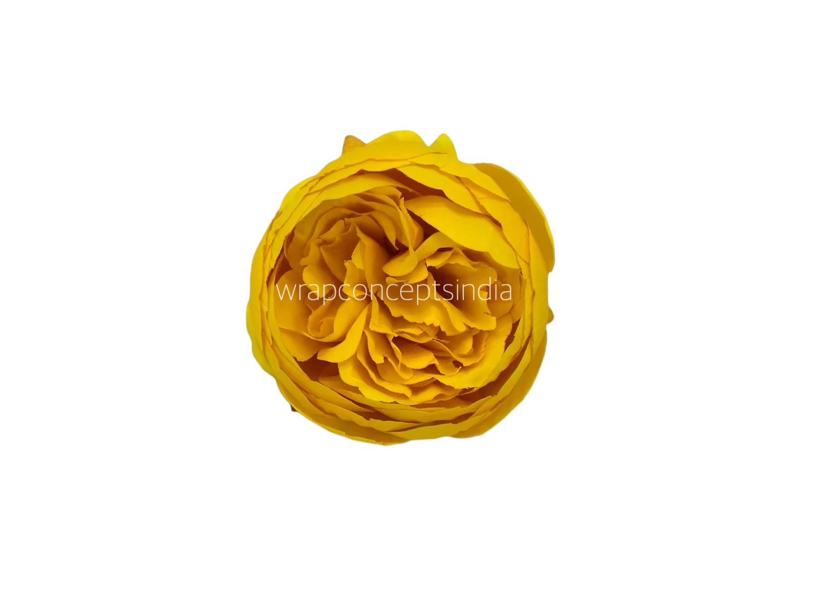 Peony - Mango Yellow