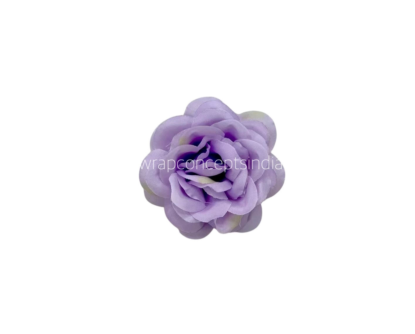 Mauve Shrub Rose