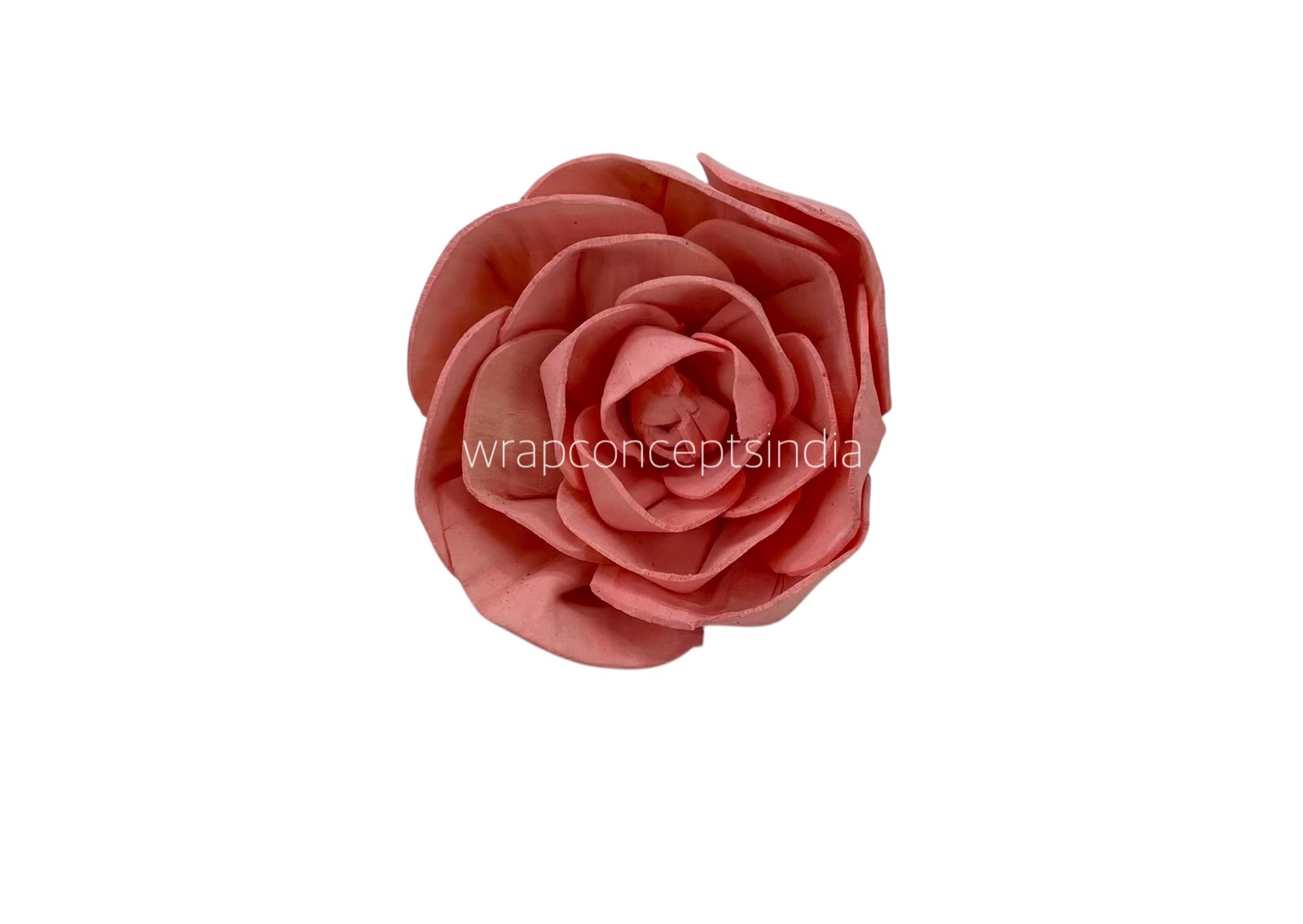 Pink Sola Wood Dear Holly Pink Sola Wood Dear Holly