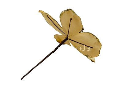 Velvet Flower with Gitter Pine Center Velvet Flower with Gitter Pine Center