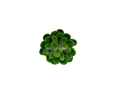 Faux Sucullent - Light Green Faux Sucullent - Light Green