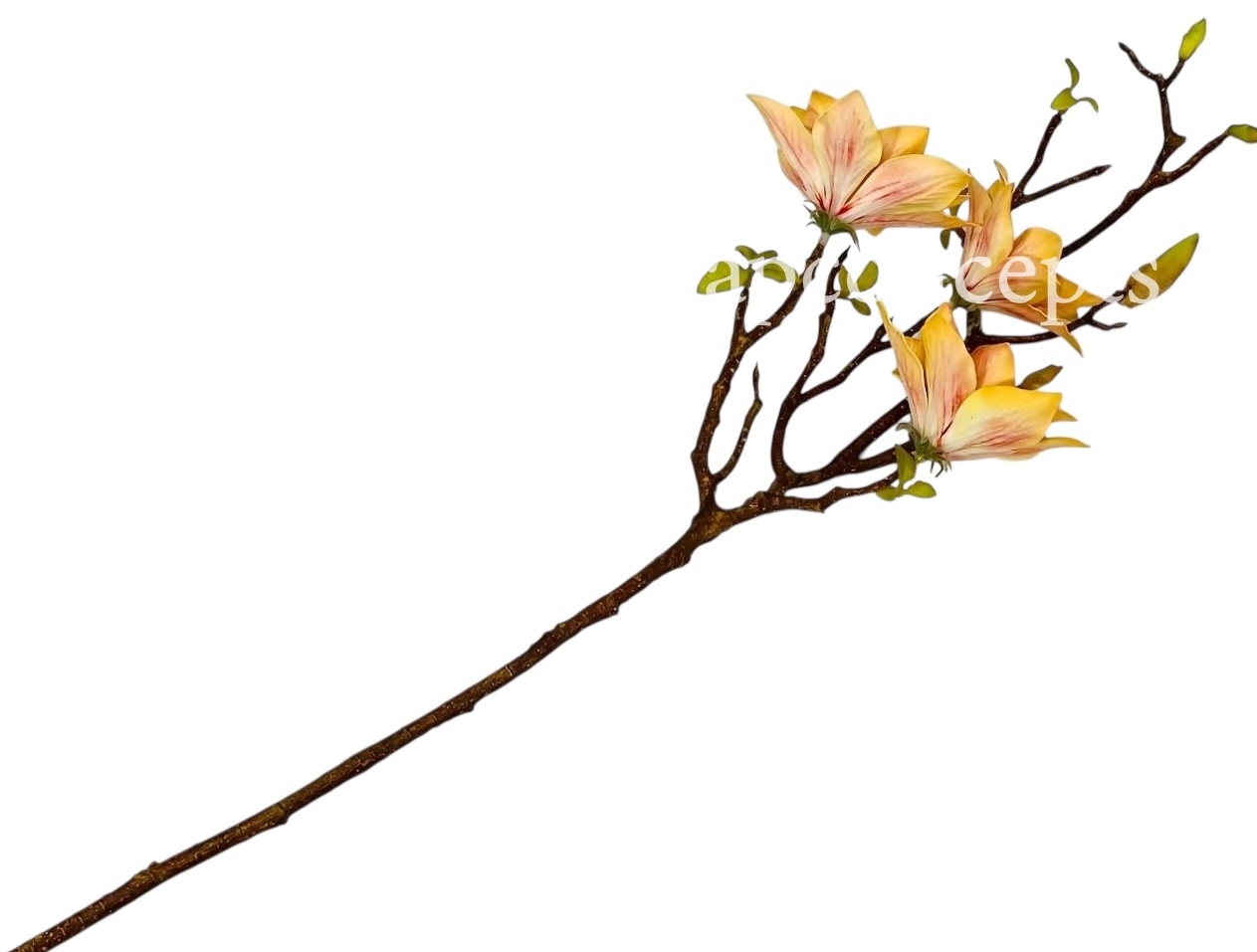 Copy of Orchid Sticks - Multicolor Copy of Orchid Sticks - Multicolor