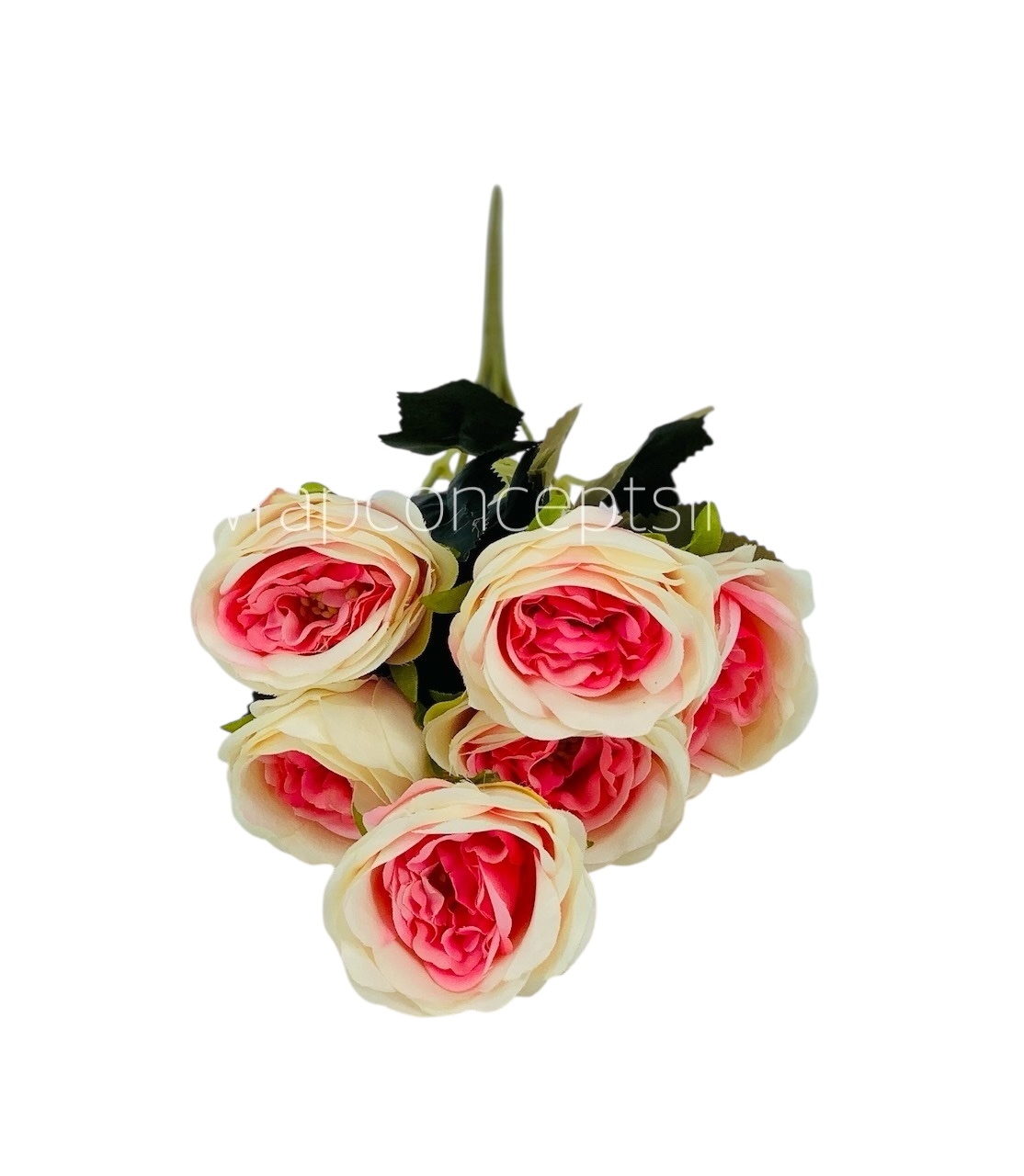 Ivory with hints of hot Pink Peony Bunch Ivory with hints of hot Pink Peony Bunch