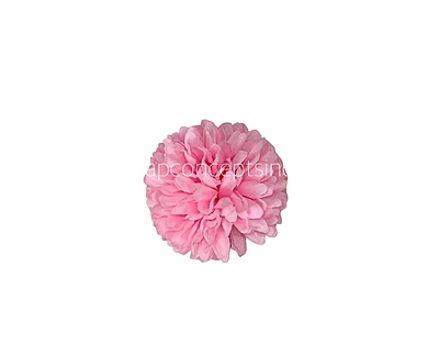 Carnation - Bubblegum Pink Carnation - Bubblegum Pink