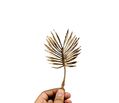 Gold Fan Shaped Palm Leaves - Gold Fan Shaped Palm Leaves -