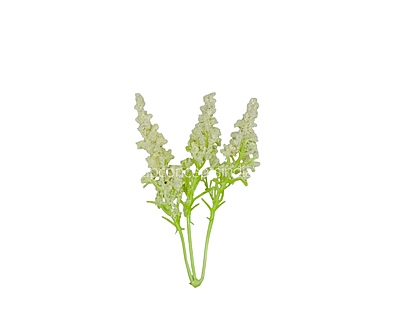 Trio Frosted Fern Leaves - Ivory Trio Frosted Fern Leaves - Ivory