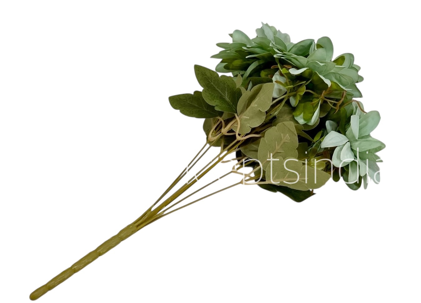Dahlia Bunch with Leaves
