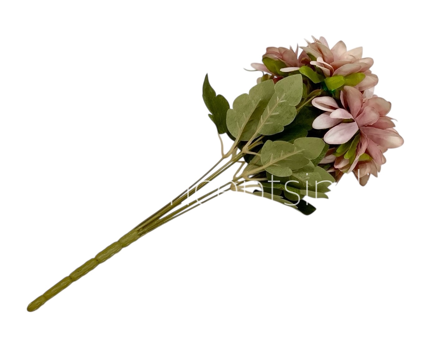 Dahlia Bunch with Leaves
