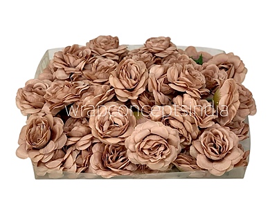Tawny Shrub Rose