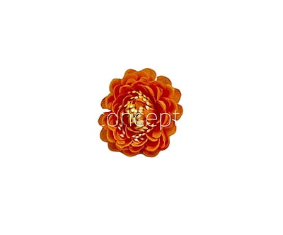 Marmalade Small Dahlias
