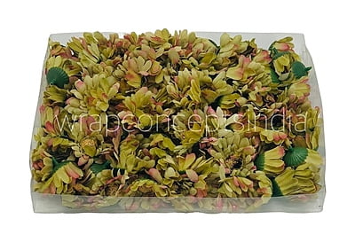 Daisy Flower-Pistachio Green with hints of Pink Daisy Flower-Pistachio Green with hints of Pink