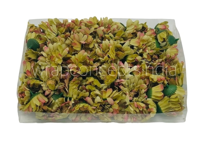 Daisy Flower-Pistachio Green with hints of Pink Daisy Flower-Pistachio Green with hints of Pink