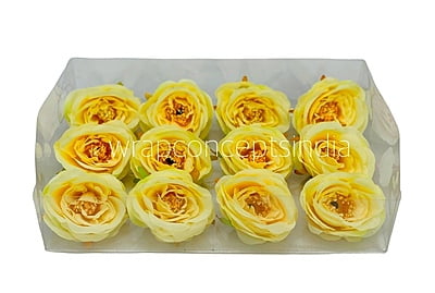 Camellia Flower - Canary Camellia Flower - Canary
