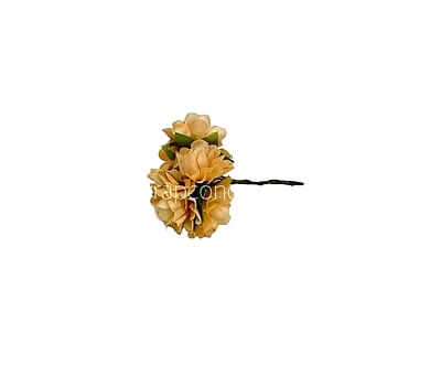 Pumpkin Aubrieta Flower