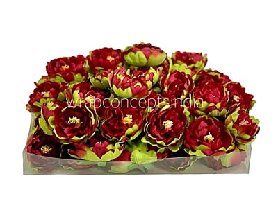 Red Peony Buds Red Peony Buds