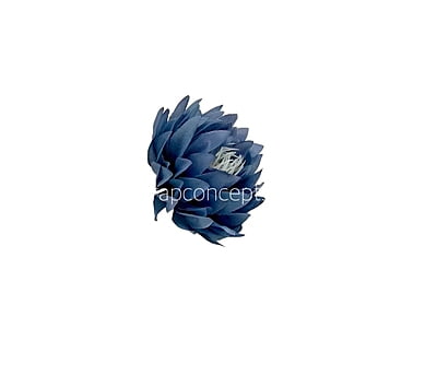 Cobalt Blue Water Lily