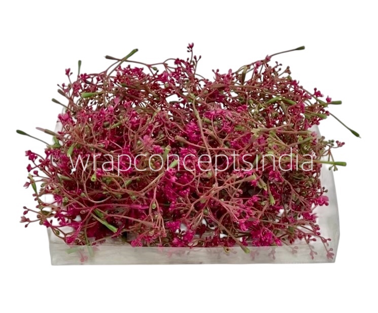 Magenta Floret Leaves Magenta Floret Leaves