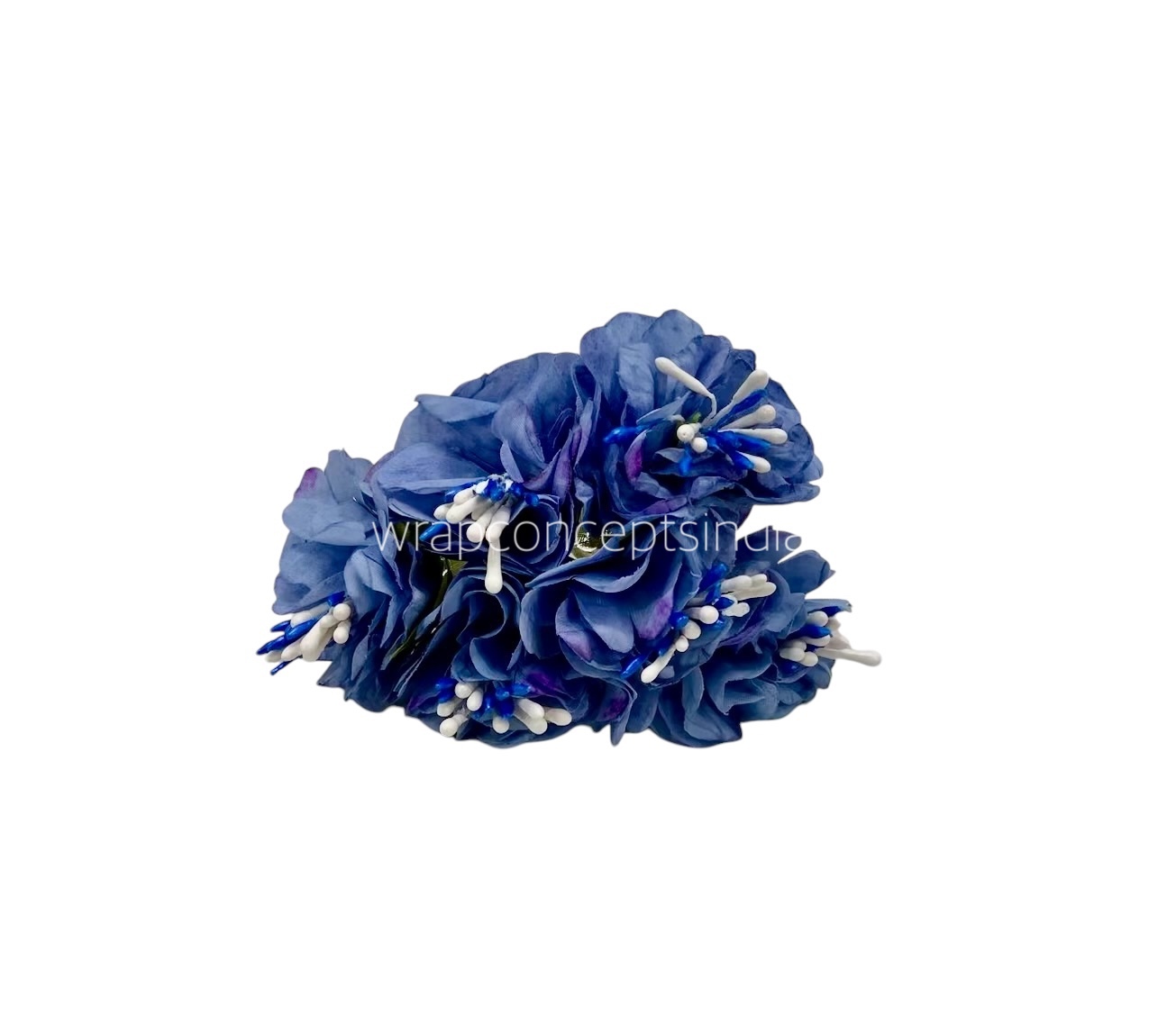 Cornflower Blue Windflower Cornflower Blue Windflower
