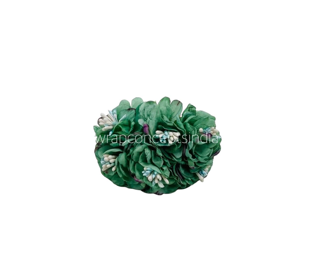 Jungle Green Windflower