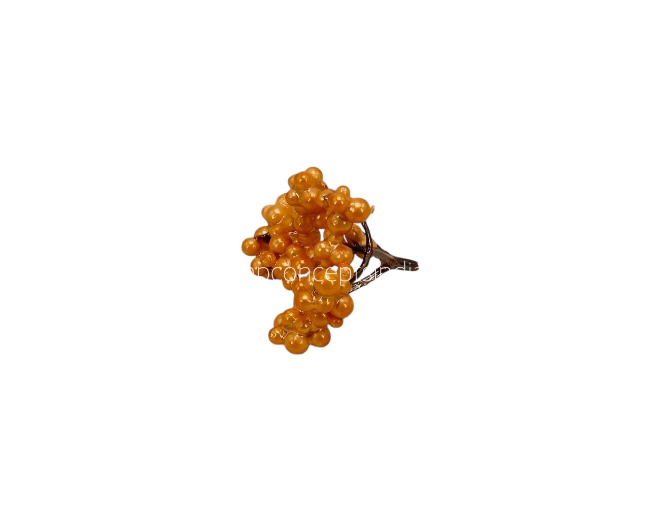 Orange Small Fern Orange Small Fern