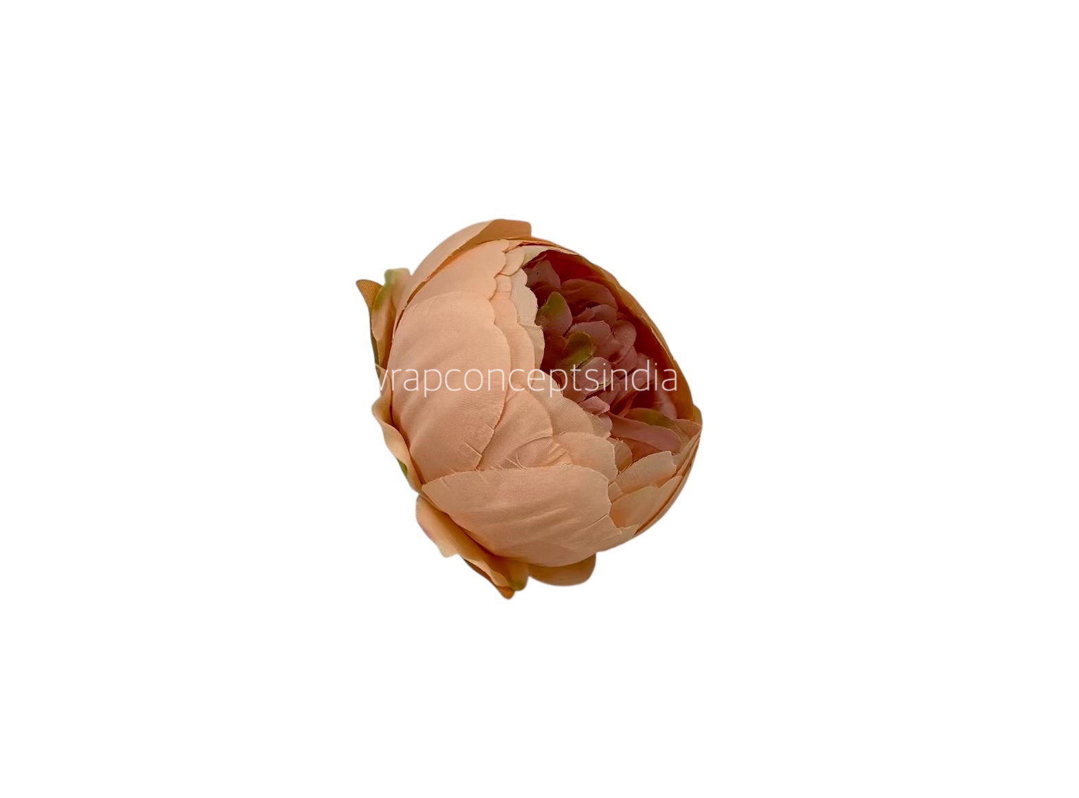Peony- Melon with Apricot