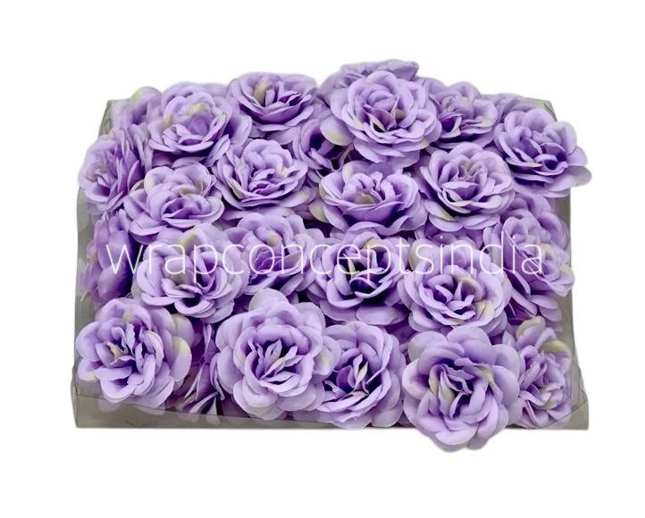 Mauve Shrub Rose