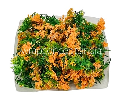Green Fern Leaves with Orange Edges Green Fern Leaves with Orange Edges