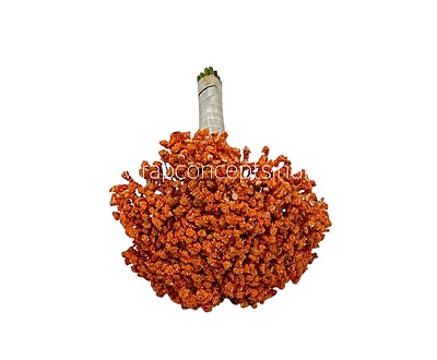 Baby Breath's Bunch