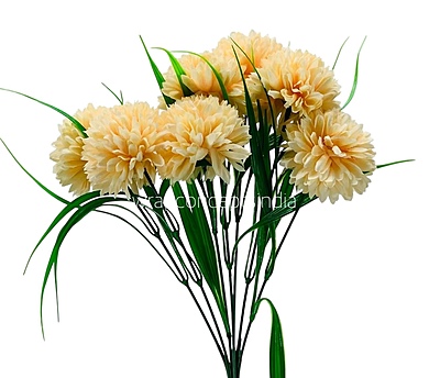 Carnation Bunch - Mullticolour Carnation Bunch - Mullticolour