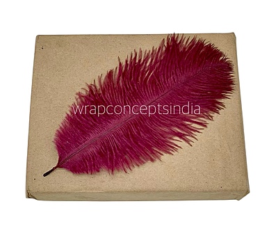 Faux Feather Rounded Edges Faux Feather Rounded Edges