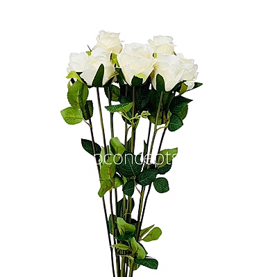 Tall Rose Sticks