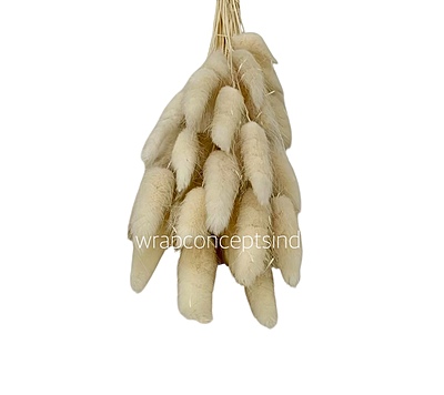 Preserved Bunny Tails
