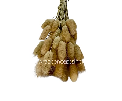 Preserved Bunny Tails