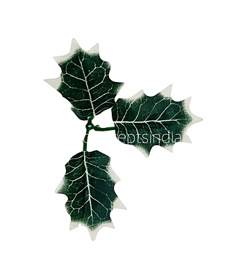 Green & White Shaded Birch Leaves Green & White Shaded Birch Leaves