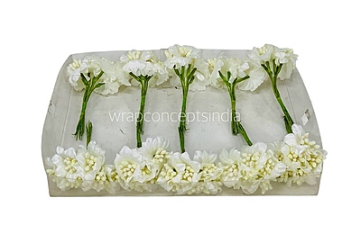 Ivory Flowers with ivory pollens