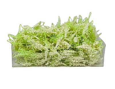 Trio Frosted Fern Leaves - Ivory Trio Frosted Fern Leaves - Ivory