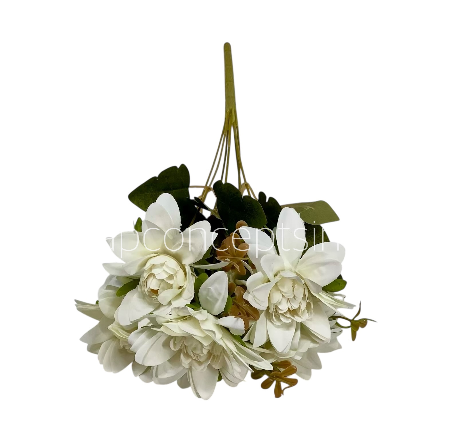 Dahlia Bunch with Leaves