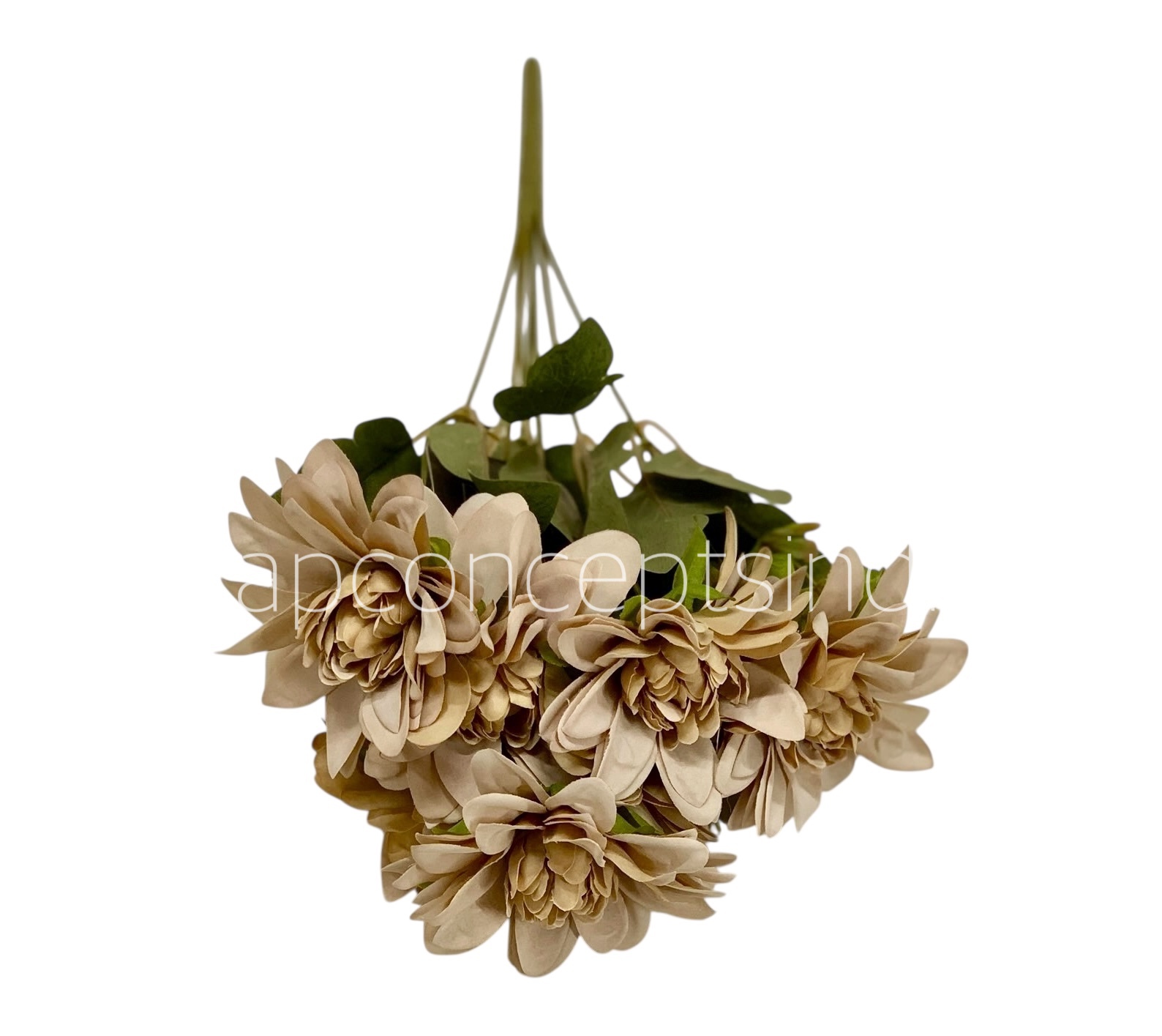 Dahlia Bunch with Leaves