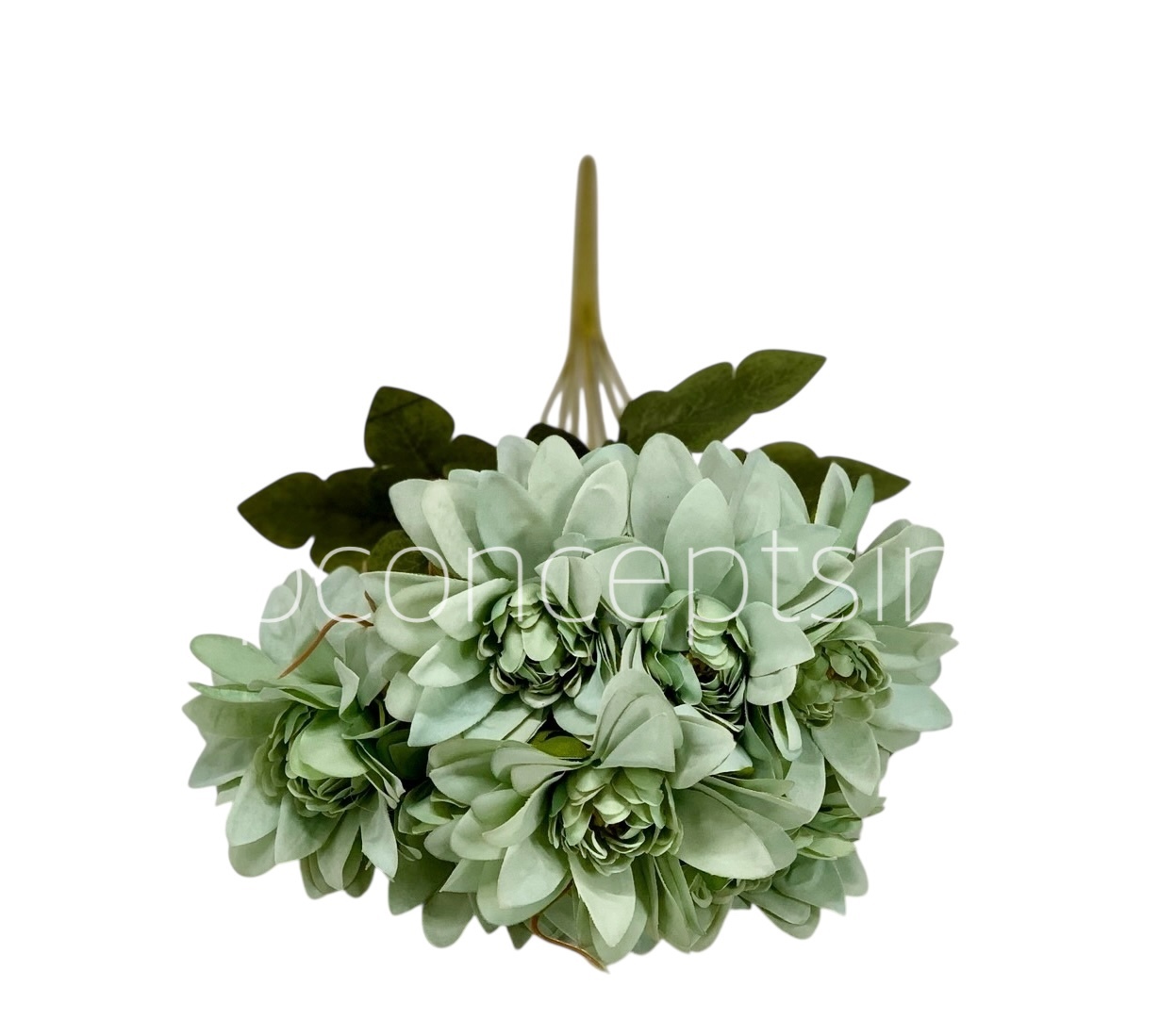 Dahlia Bunch with Leaves